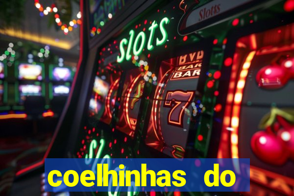 coelhinhas do brasil site